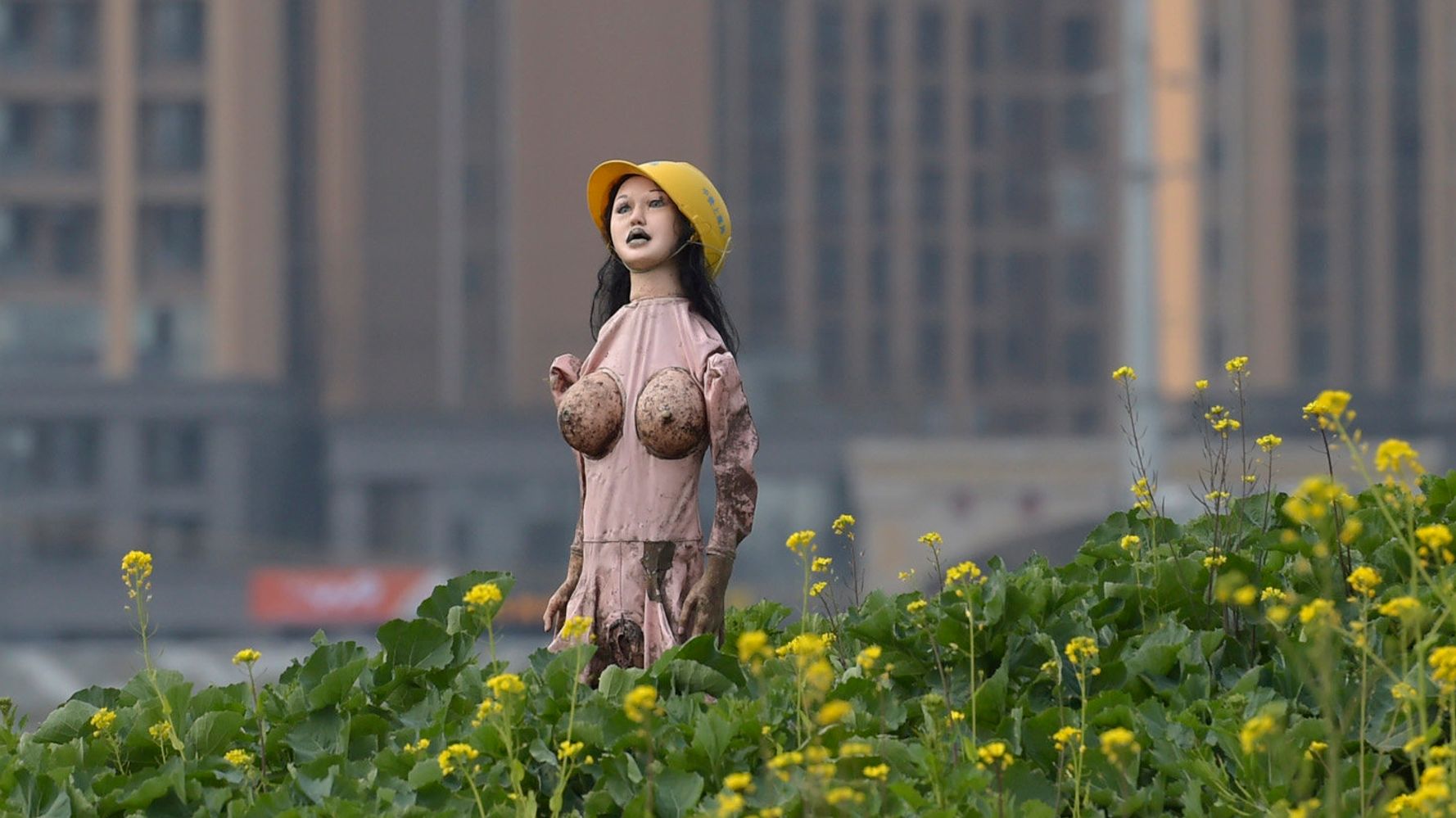 Blowup Sex Doll Serves As Scarecrow Is Big Turnoff For Birds