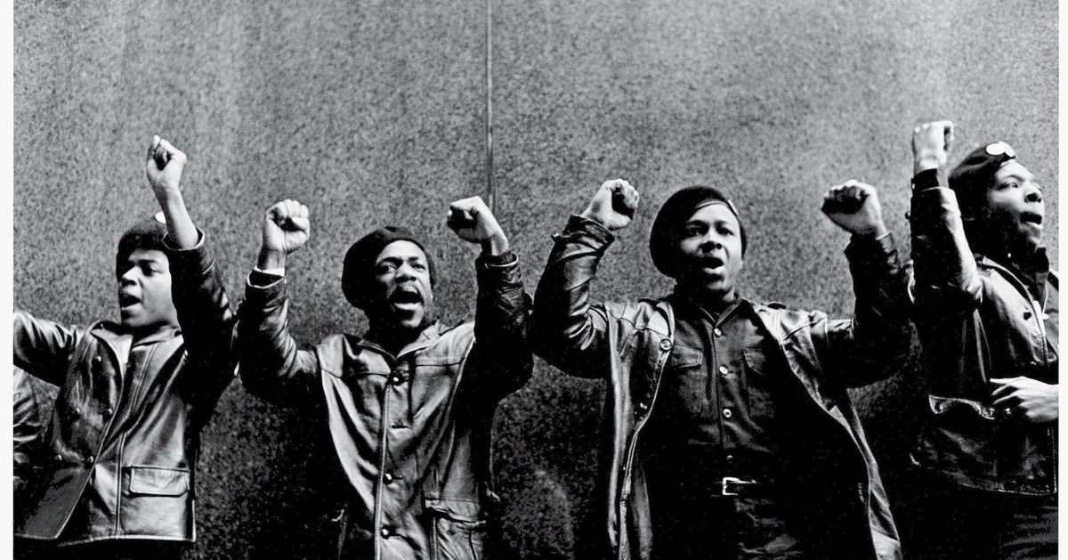 The Black Panthers: Vanguard of the Revolution, Documentary about Black  Panther Party, Independent Lens