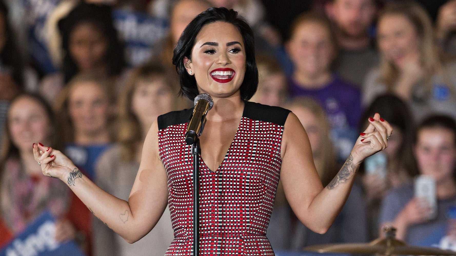 Demi lovato essay image
