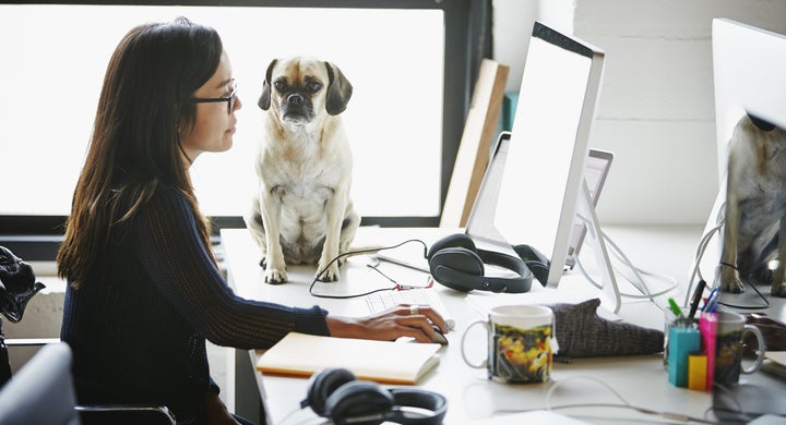Bad news for coders who happen to be ladies.