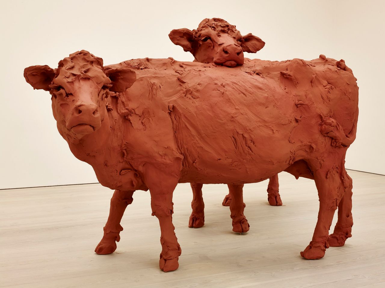 Stephanie Quayle, "Two Cows," 2013, air-hardening clay, chicken wire, steel, 230 x 340 x 170 cm, Image courtesy of the Saatchi Gallery, London.