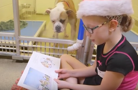 The Shelter Buddies Reading Program benefits both the animals and the kids.