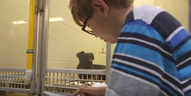 The kids undergo training before sitting outside the dogs' kennels and reading animal-themed books to them.