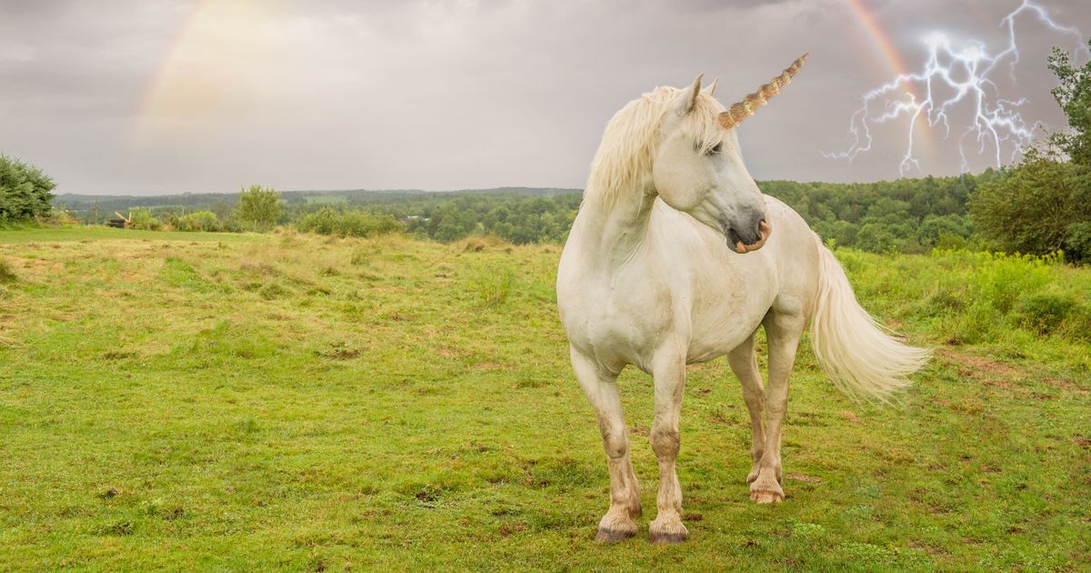 Runaway 'Unicorn' Leads Police On A 4-Hour Chase.