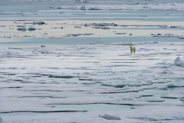 The European Union plays an important role in the Arctic, though many misconceptions about its influence still exist.