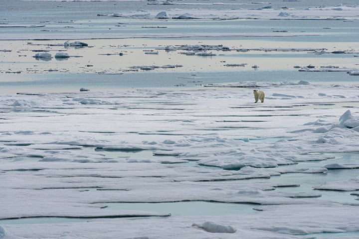 The European Union plays an important role in the Arctic, though many misconceptions about its influence still exist.