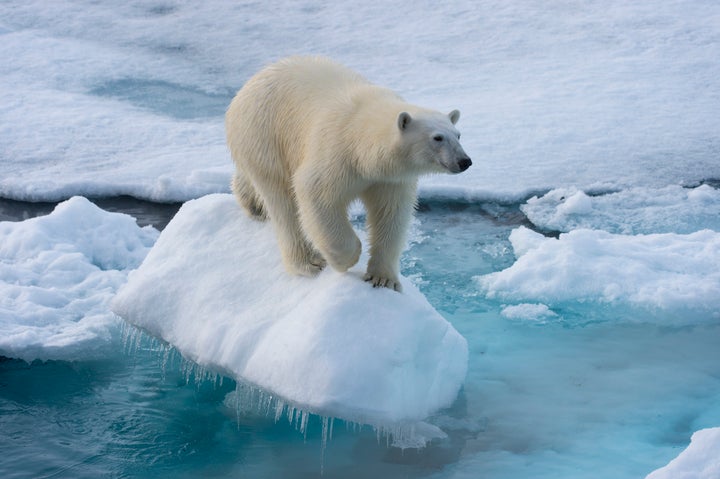 Some believe that because the EU lacks an Arctic coastline, it has no business in Arctic territory.