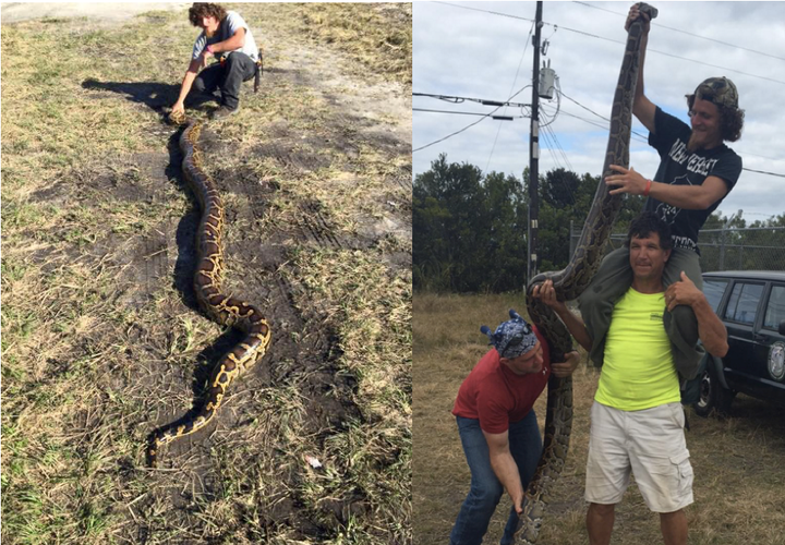 Daniel Moniz is seen showcasing two of his catches, the one on the left measuring 13 feet and the one on the right measuring 12 feet.