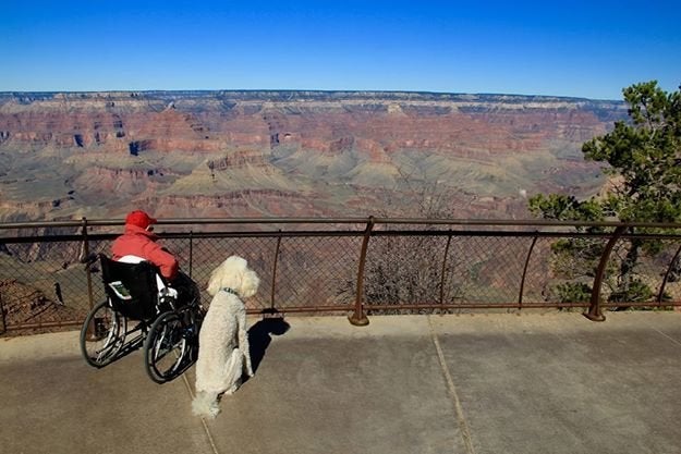 Norma at the Grand Canyon with Ringo.