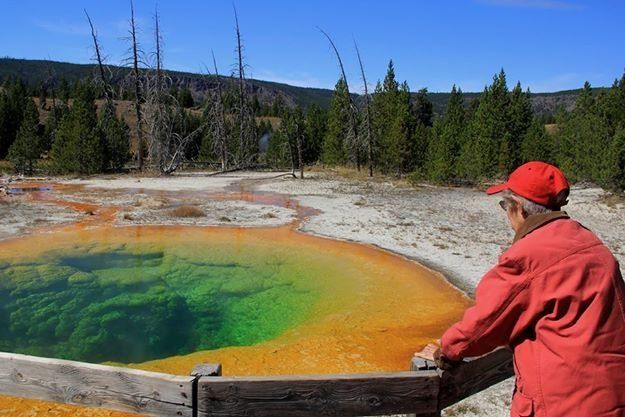 Norma checking out Morning Glory Pool at Yellowstone National Park.
