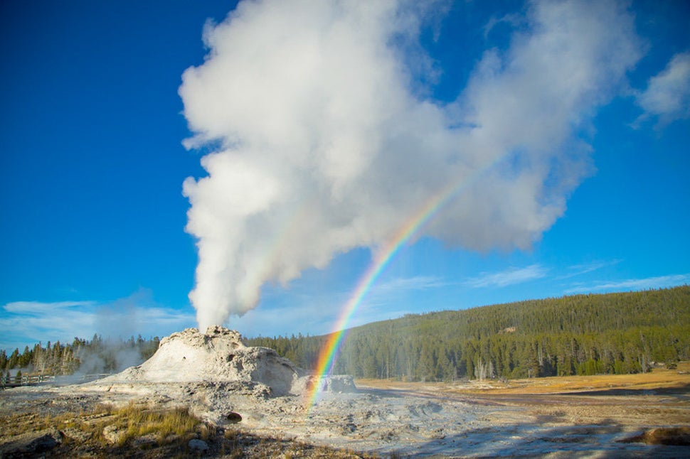 Castle Geyser erupts at Yellowstone National Park.