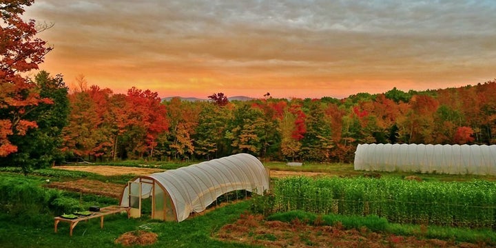 Soul Fire Farm in Grafton, New York, is using agriculture as a way to help heal racial injustice.