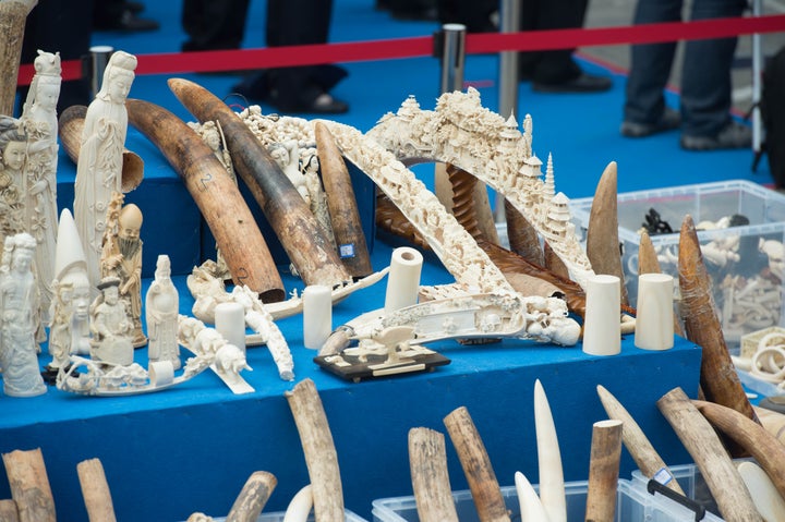 Illegal ivory and ivory products confiscated in China. 