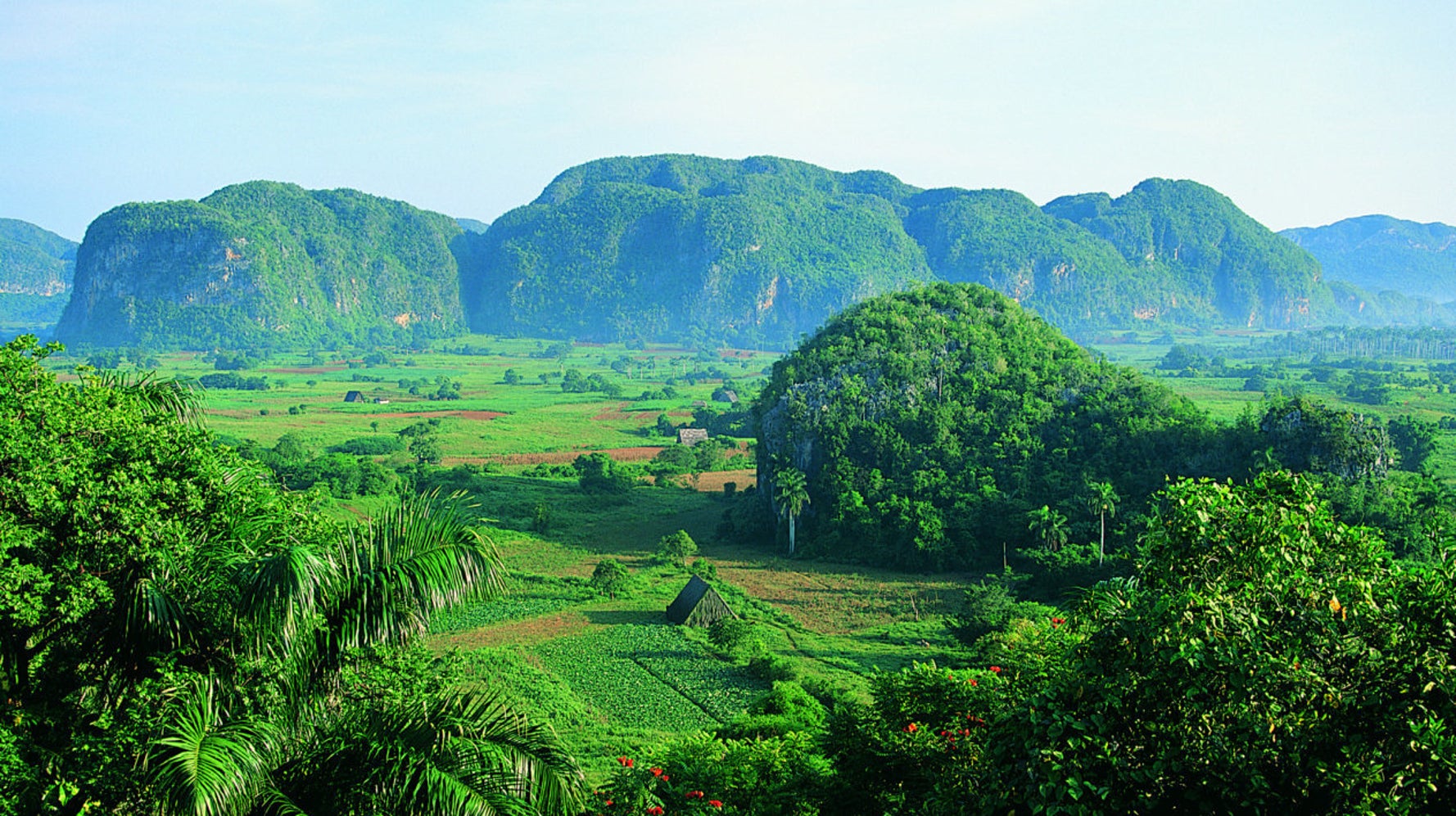 Drop Everything And Head To Viñales, Cuba. NOW. | HuffPost Life