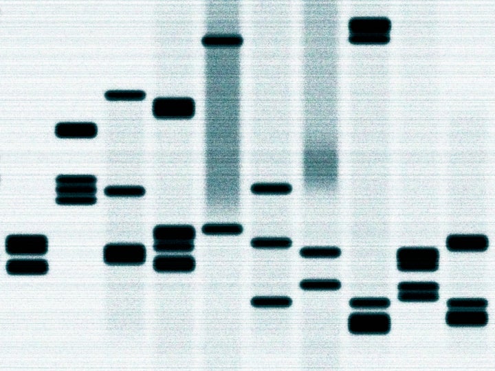 “Preserving DNA gives families an opportunity to capture all this information and establish a connection that will last