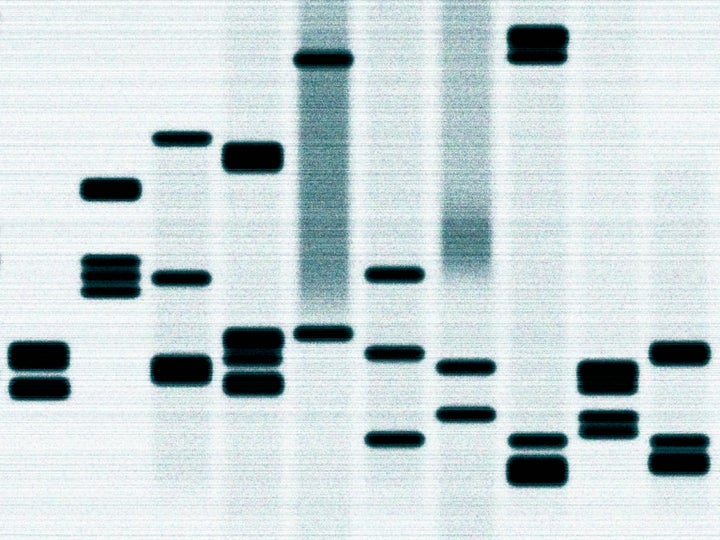 “Preserving DNA gives families an opportunity to capture all this information and establish a connection that will last forever.”