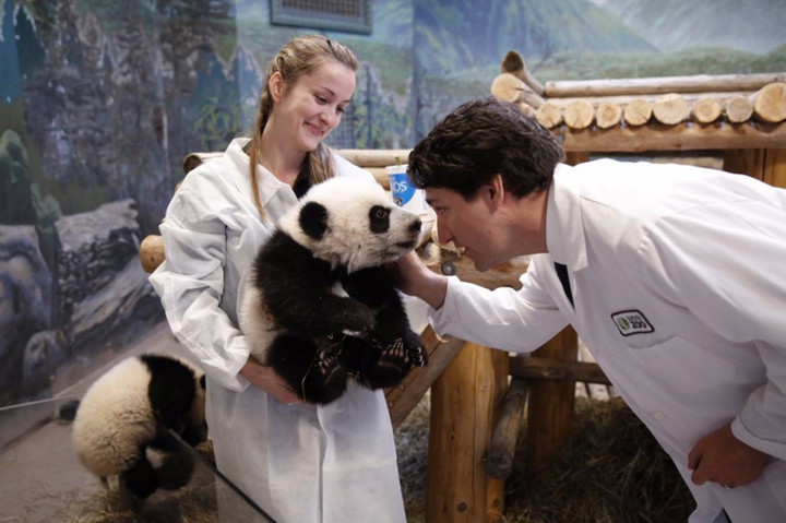 Justin Trudeau Greets Canada's Adorable Baby Pandas