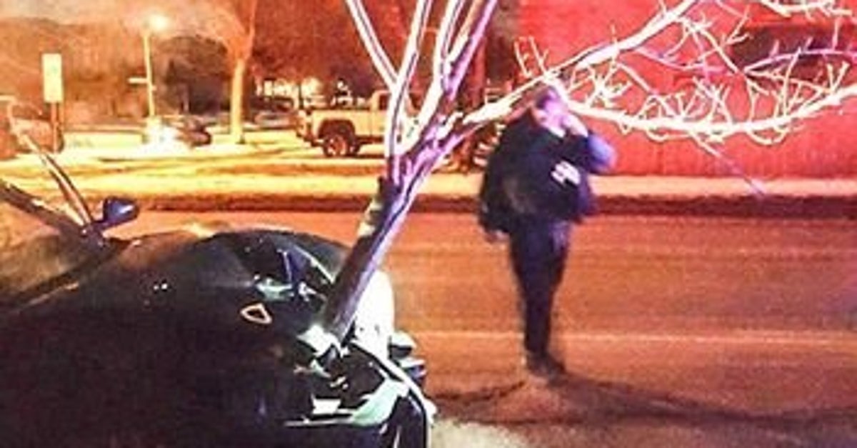 Woman Drives Around With 15-Foot Tree Stuck In Her Car's Grille Like It ...