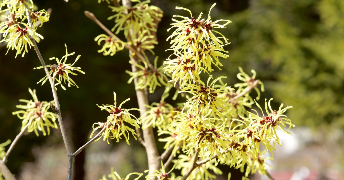 Zoe S Dish Blog Zoe S Dish Blog