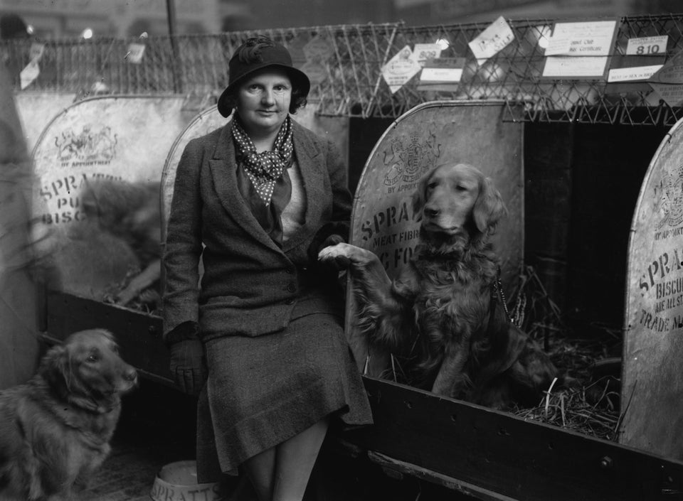 Crufts 2016: Vintage Pictures From The Early 1900s Are Just Too ...