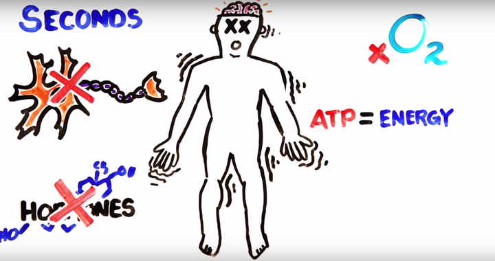 Body depletes energy molecules