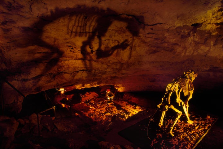 A Thylacoleo carnifex at an archaeological dig in Australia's Naracoorte National Park.