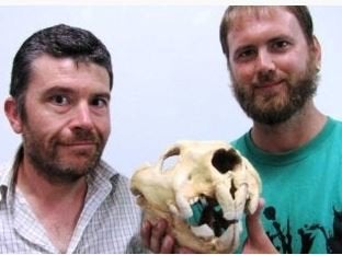 Flinders University Associate Professor Gavin Prideaux, left, and student Sam Arman pose with the skull of a marsupial lion.