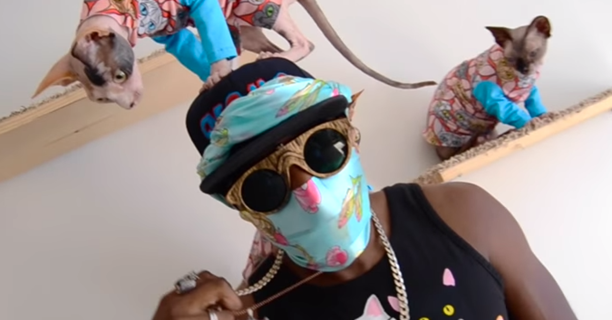 Fever Cat Rapper This Guy Who Raps About His Cats Is Totally Purrrfect | HuffPost Weird News