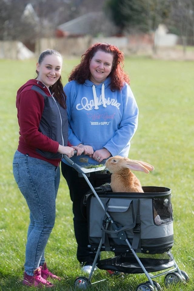 Jen Hislop, pictured here with her 15-year-old daughter, says she has a special stroller to take her new rabbit out and