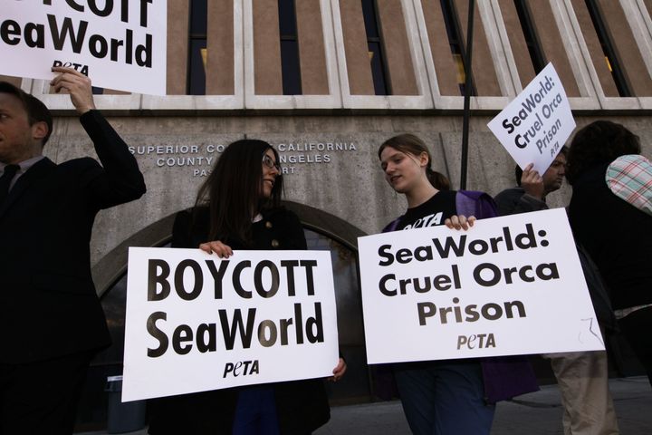 Activists protest the arrest of SeaWorld opponents in California, in this 2014 file photo.
