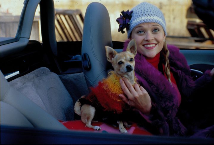 Reese Witherspoon With Moonie, As They Appeared Together In 'Legally Blonde'