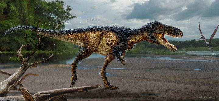 Life reconstruction of the new tyrannosaur Timurlengia euotica in its environment 90 million years ago. The fossilized remains of the newly discovered horse-sized dinosaur reveal how Tyrannosaurus rex and its close relatives became top predators, according to research.