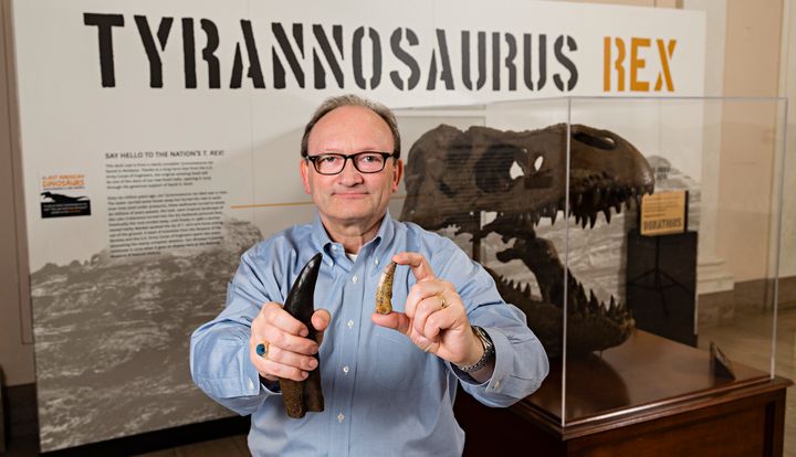 Hans Sues, chair of the paleobiology department at the National Museum of Natural History, Smithsonian Institution, holding a cast (right hand) of a T. rex tooth for comparison with an actual tooth of the new tyrannosaur T. euotica from the late Cretaceous period.