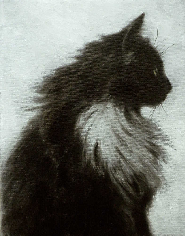 catterbox cat collar