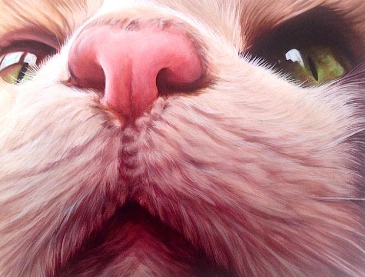 temptations catterbox