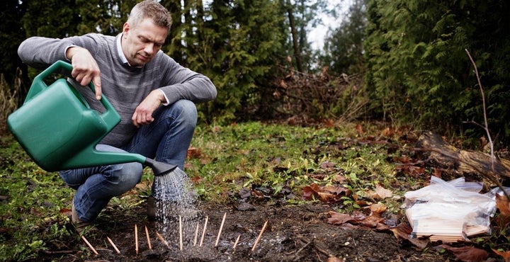 Michael Stausholm is growing a garden from these pencils.