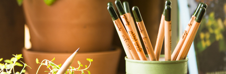 Sprout pencils sit in a jar with their seed capsules sticking out.