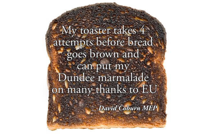 UKIP MEP's Tweet about his burnt toast and how the EU is to blame