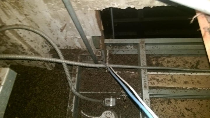 The secretary's office was deemed "off limits" until the bat guano could be safely removed.
