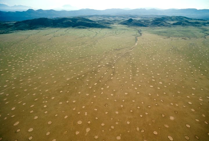 Fairy circles in Namibia. 