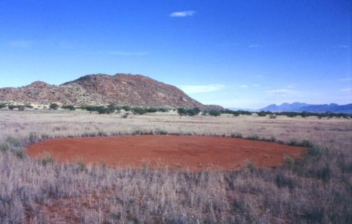 A single fairy circle in Namibia.