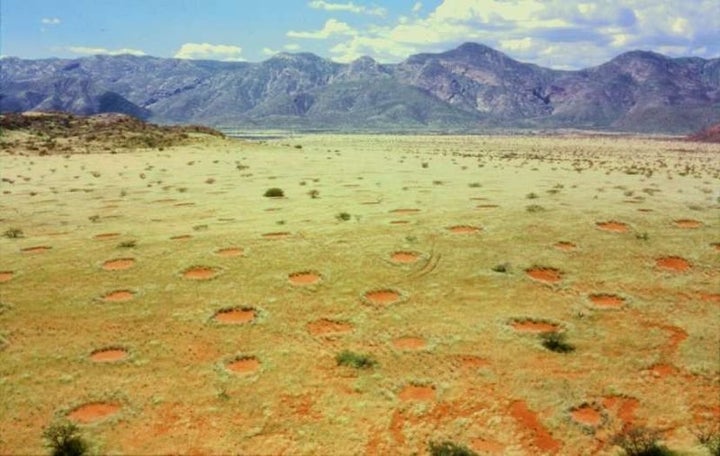 Fairy circles in Namibia.