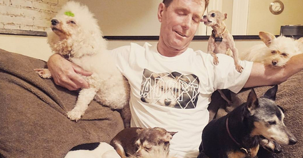 Man Gives Elderly Rescue Dogs A Home And They Couldn't Look Happier ...