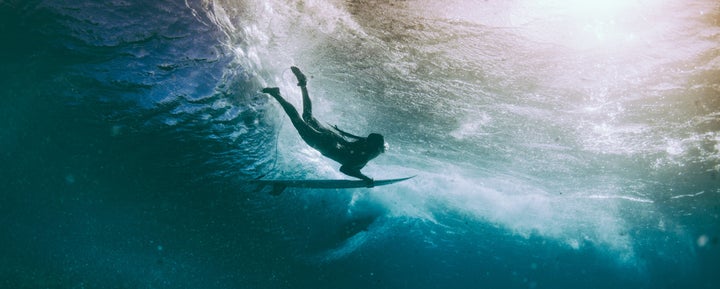 A woman goes surfing with her cats who are 'fascinated' by water