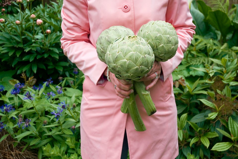 Artichokes Are Actually Flowers, And Here's Proof HuffPost Life