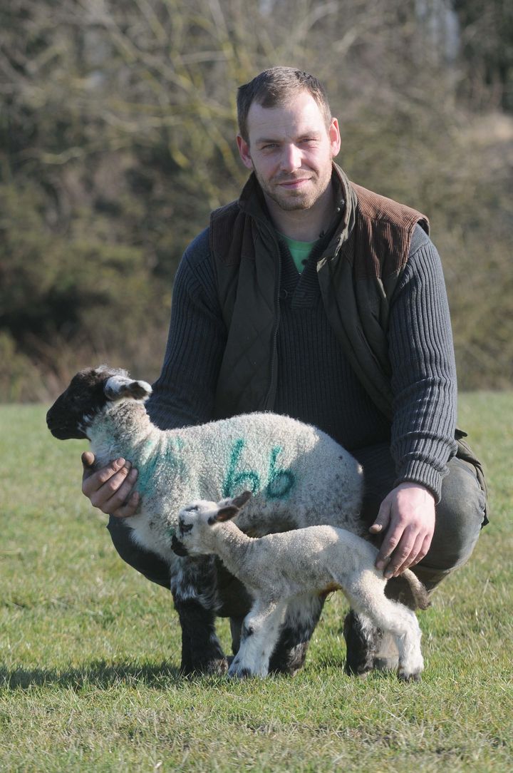 Farmer Neil Fell, with Tyson and an average-sized lamb for comparison.