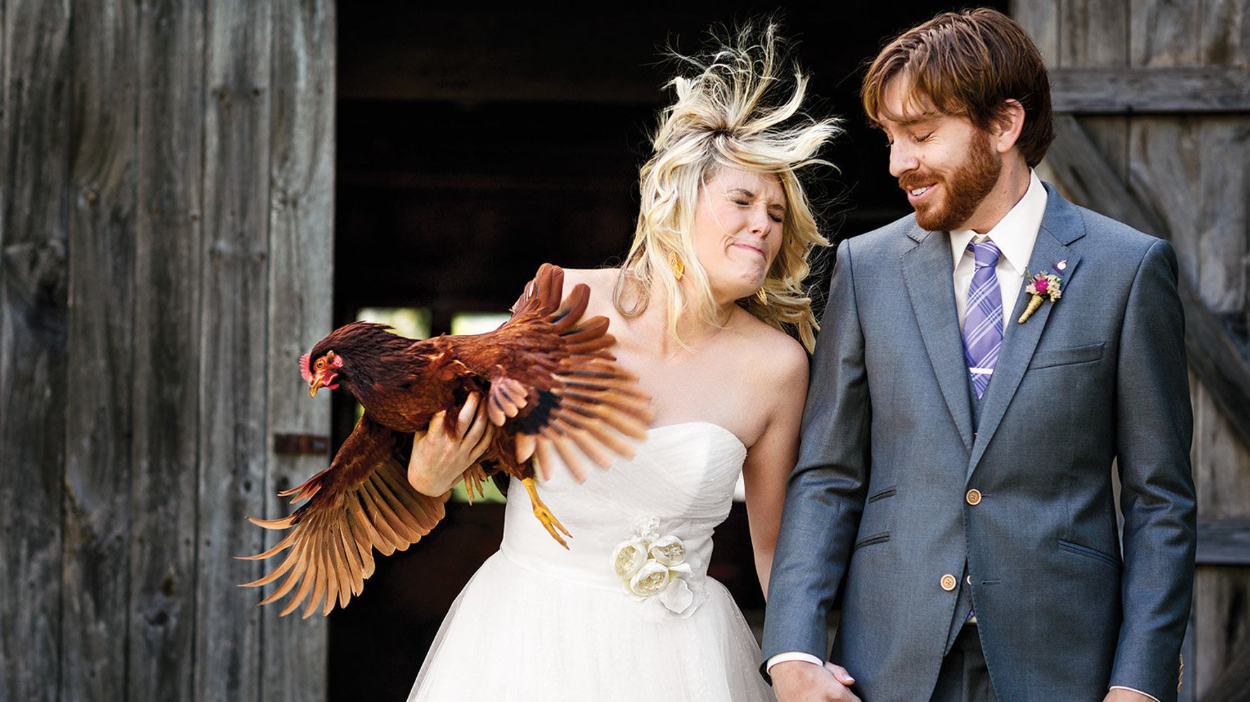 Кидать курицу. Курица на свадьбу. Свадебные животные. Жених и невеста животные. Молодожены с курицей.