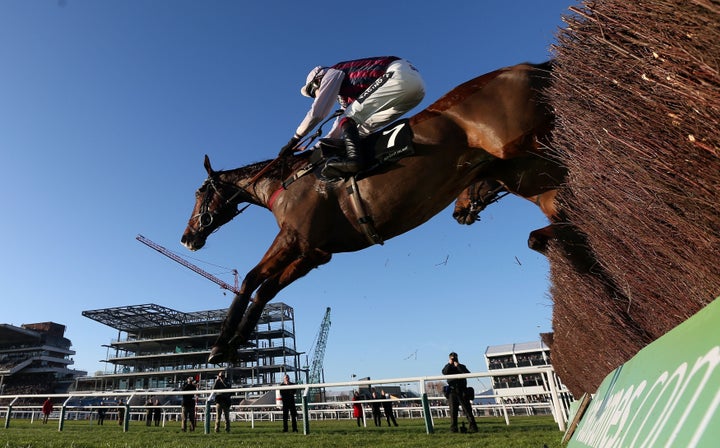 10-year-old Niceonefrankie pictured here at Cheltenham in 2014