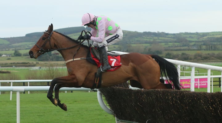 8-year-old Pont Alexandre pictured here at a race day in Co. Kildare, Ireland