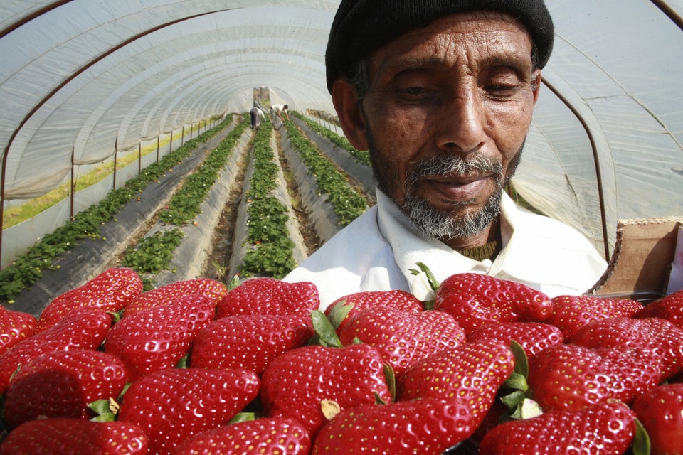 Riveting Photos Of Migrant Workers Remind Us Who Really Harvests Our Food Huffpost Life 